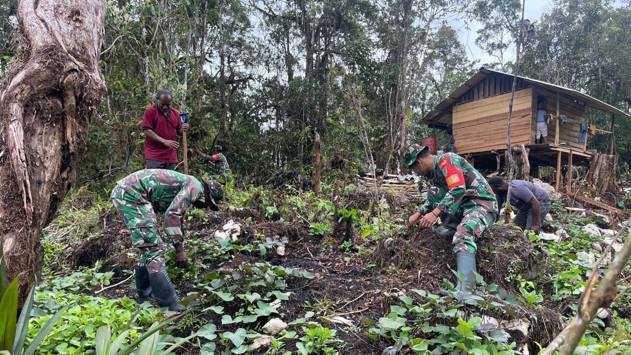 Bimbing Masyarakat, Babinsa Koramil 1715-01/Oksibil Terjun Langsung Bertani Dalam Program Ketahanan Pangan di Oksibil