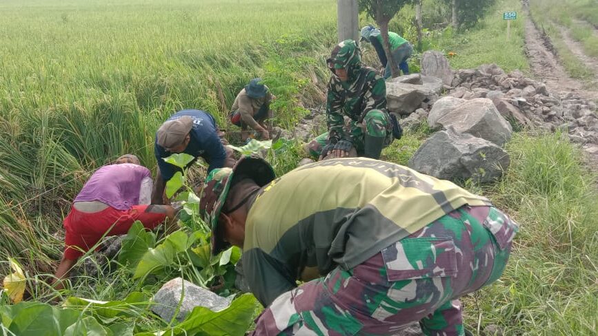 Anggota Satgas TMMD & Warga Kebut Kerjaan Talud di Desa Gedongan Sragen