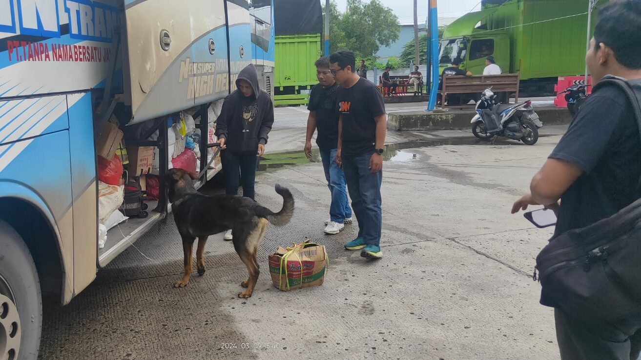 6 Anjing K9 Bantu Lacak Peredaran Narkoba di Pelabuhan Bakauheni, Ini Hasilnya